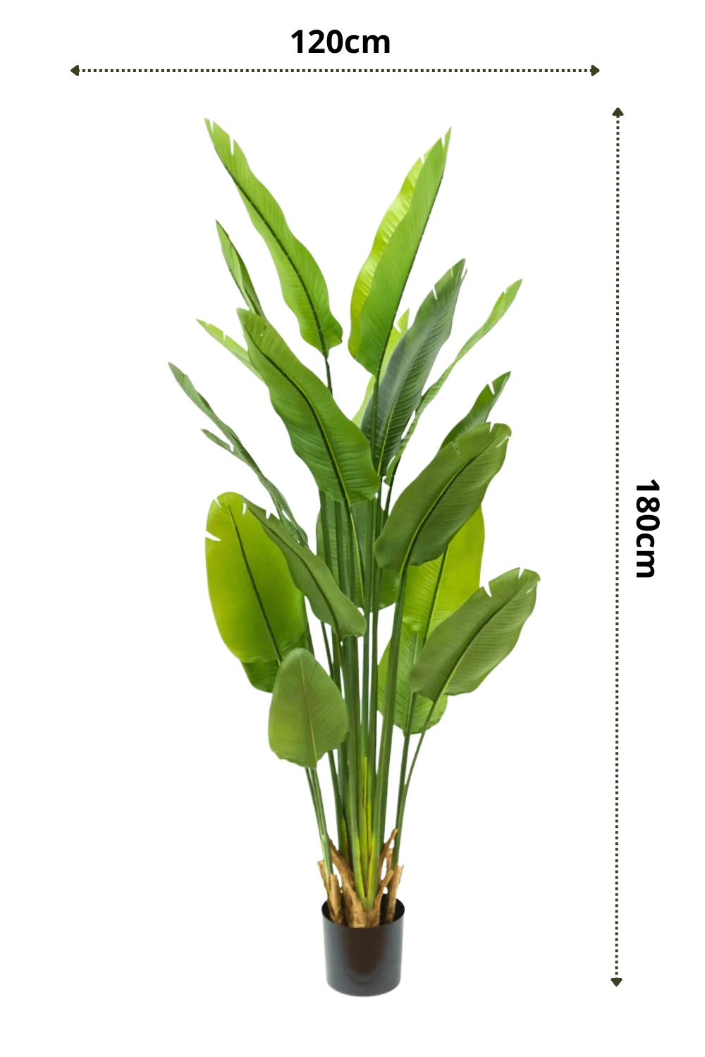 Kunstplant Strelitzia 180 cm