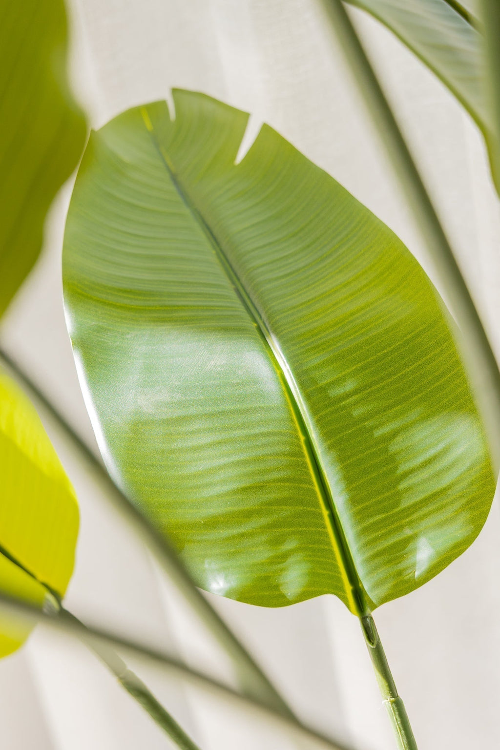 Kunstplant Strelitzia 180 cm