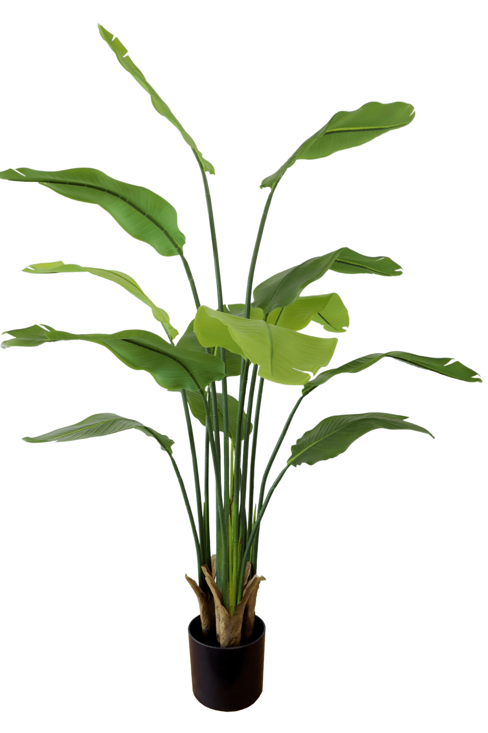 Kunstplant Strelitzia 160 cm