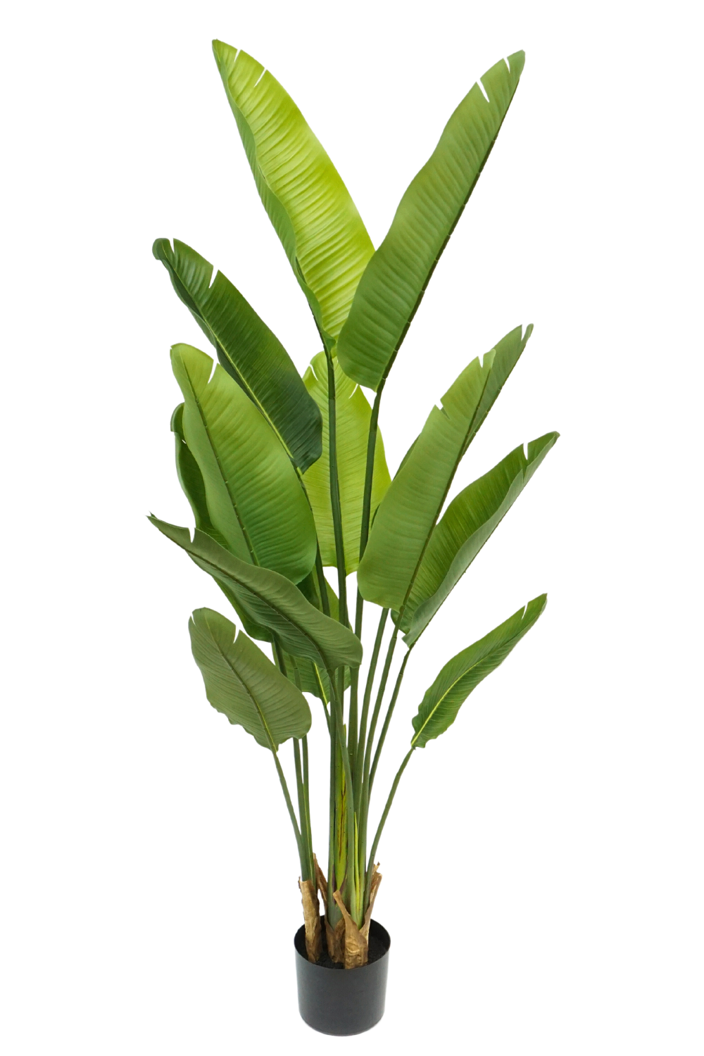 Kunstplant Strelitzia 160 cm